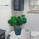 Rose For 4 Guests In Rose ホームステイ