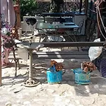 ホームステイ Rose For 4 Guests In Rose *