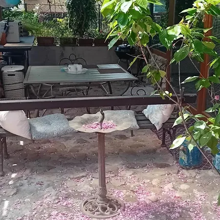 Rose Room, Roseart Resort *