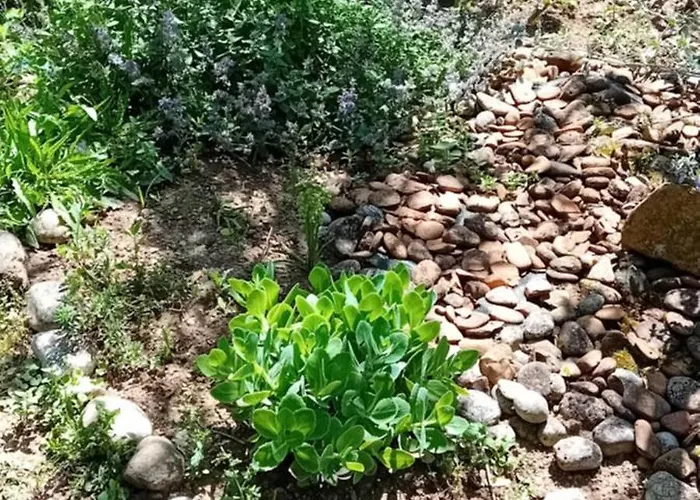 Rose For 4 Guests In Rose * Lublaň