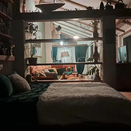 Rose For 4 Guests In Rose *