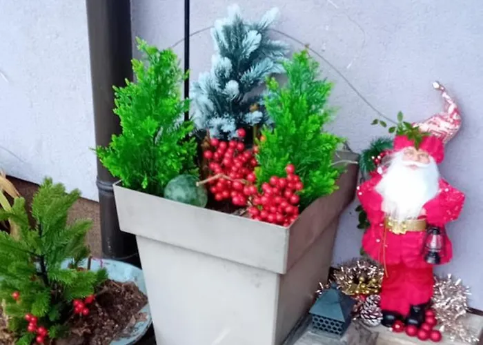 Séjour chez l'habitant Rose For 4 Guests In Rose *